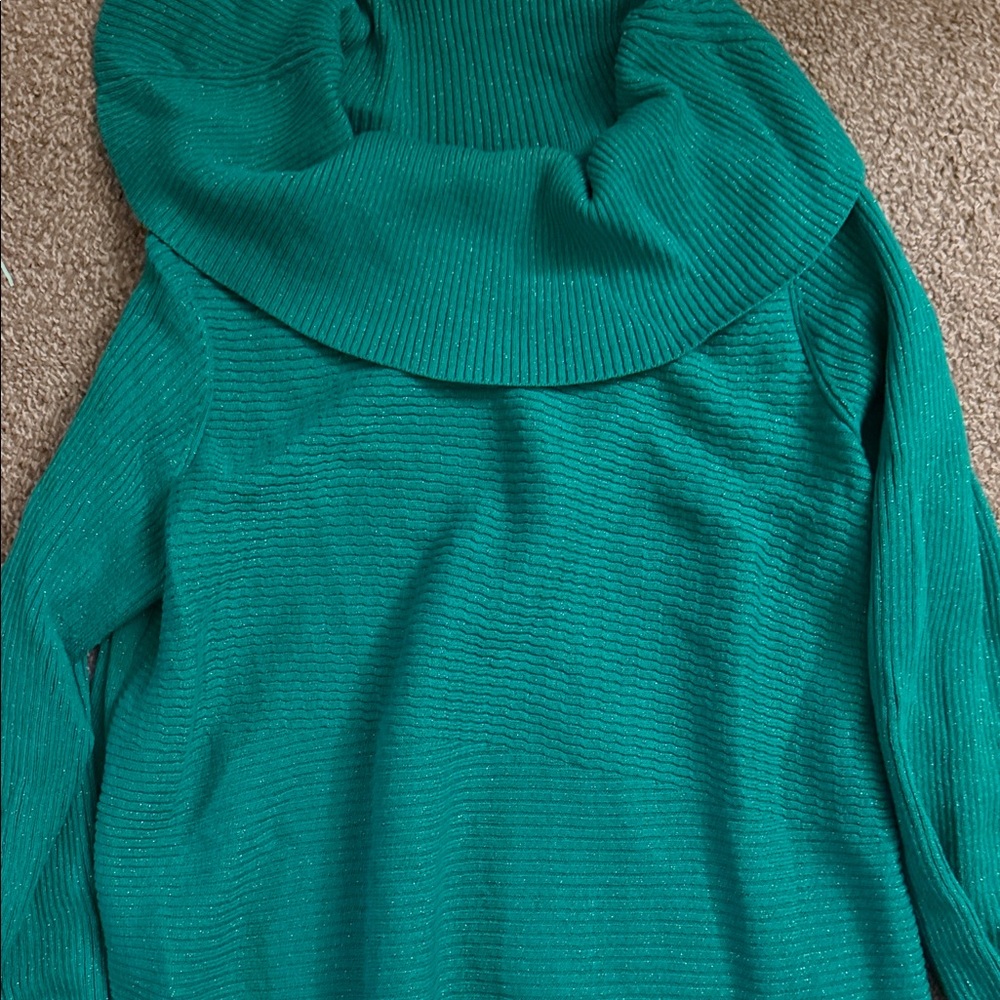 Alfani Green Cowl Neck Long Sweater